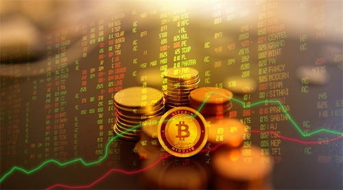 全球數字貨幣政策與行業發展動態概覽