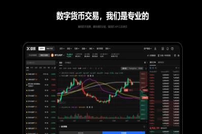 歐意交易所app下載最新版蘋果手機_歐意交易所蘋果版下載