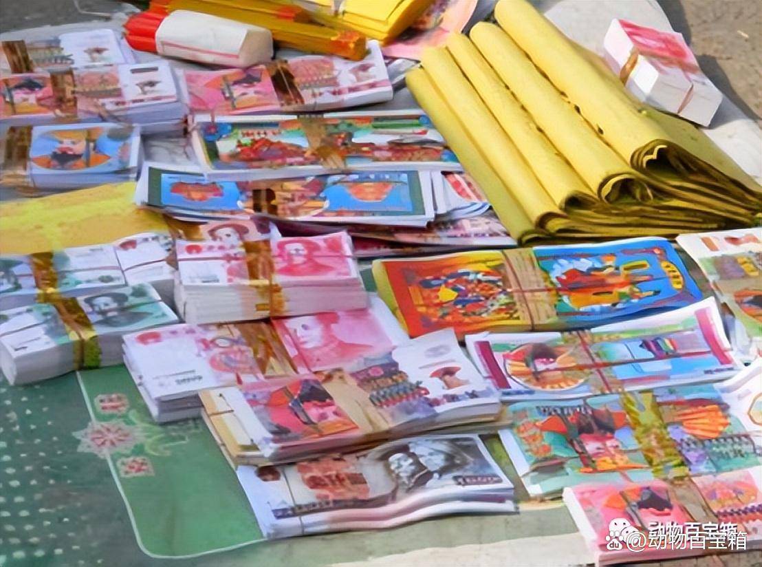 分析加密貨幣市場的投資者行為：如何理解不同參與者的決策機製_加密貨幣的邏輯_加密貨幣策略