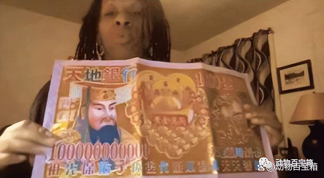 加密貨幣的邏輯_加密貨幣策略_分析加密貨幣市場的投資者行為：如何理解不同參與者的決策機製
